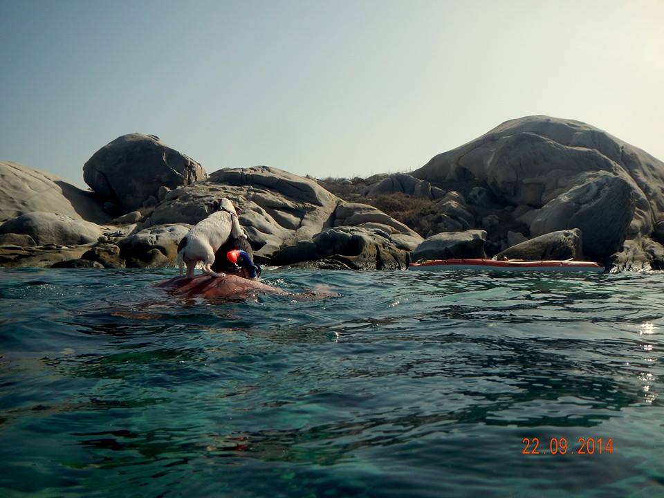 NellyGianniOrfanou (11)